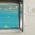 Picikato